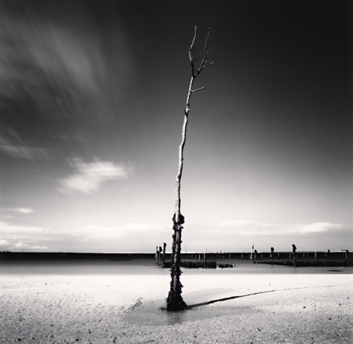 Oyster Beds, Study 3, Chausey Islands, France, 2007